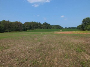 Farm land for sale in norton ohio